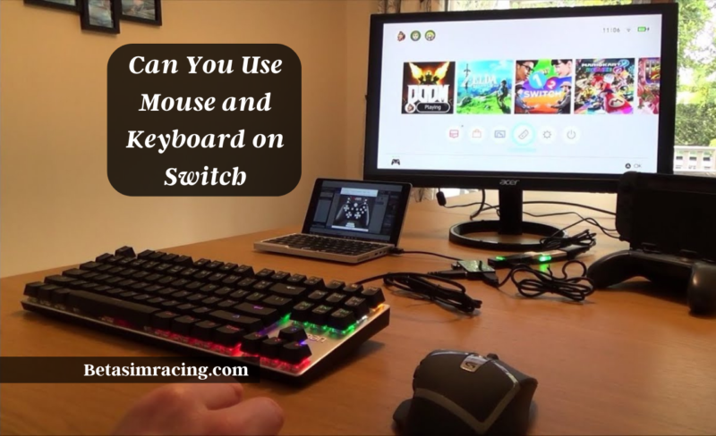 Can You Use Mouse and Keyboard on Switch