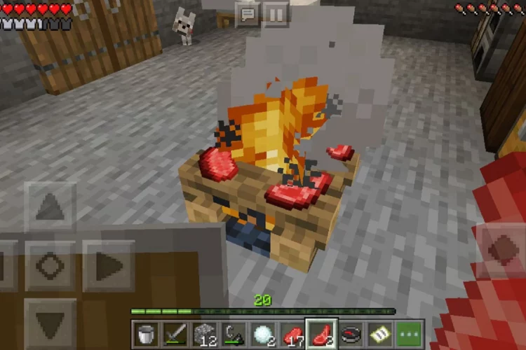 Cook Food on Campfires